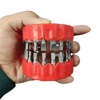 Broca Titular Dentes Modelo de Design Dentadura Suporte para Broca se Encaixa 1/4 