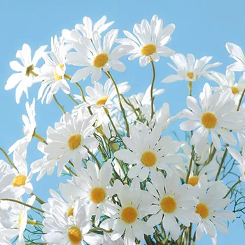 5 Ramos De Flores Artificiais Em Seda Branca De Beleza Crisântemo Simulação Daisy Falso Decoração De Flores Para O Jardim Home Office  5