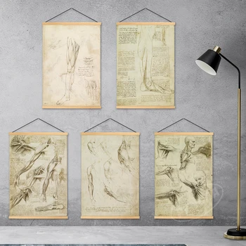 Lona a Decoração Home da Parede Leonardo da Vinci Pintura da Arte da Anatomia Humana e Materiais de Desenho de Suspensão de Madeira da Imagem de Impressão de Cartaz  0