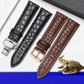 Alta Qualidade pulseira de couro de Crocodilo 12 14 16 17 18 20 21 22 24 mm preto marrom Clássico bracelete para homens e mulheres em Geral marca  5