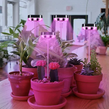 LEVOU Cresça Luzes para Plantas de Interior, AC 5V Fito Lâmpada de 20W com Suporte Completo Espectro de Plantas a Luz de Inundação para Vegetais emissões de gases de efeito Tenda  5