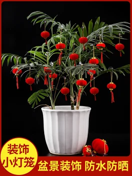Dahong reunindo a pequena lanterna ornamento bonsai enfeite na árvore da fortuna  3