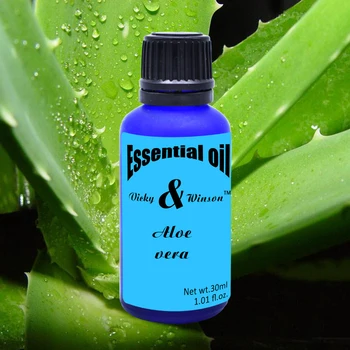 Vicky&winson Aloe óleos essenciais de aromaterapia 30ml Umidificador casa quarto fragrância sono aromaterapia desodorização  5